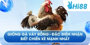 Giống Gà Vảy Rồng - Đặc Điểm Nhận Biết Chiến Kê Mạnh Nhất